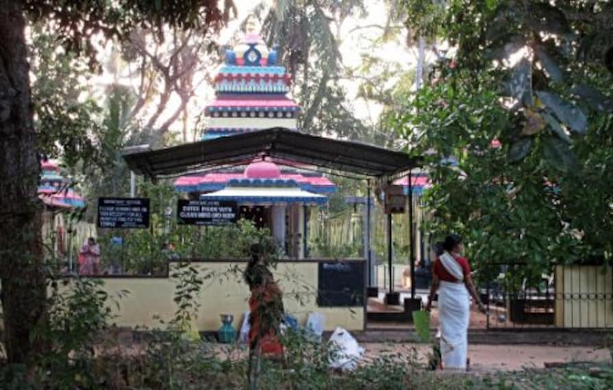 Ponnumthuruthu Island-5